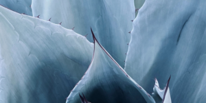 Read more about the article Med kniv og gaffel – hvad er egentlig et måltid?