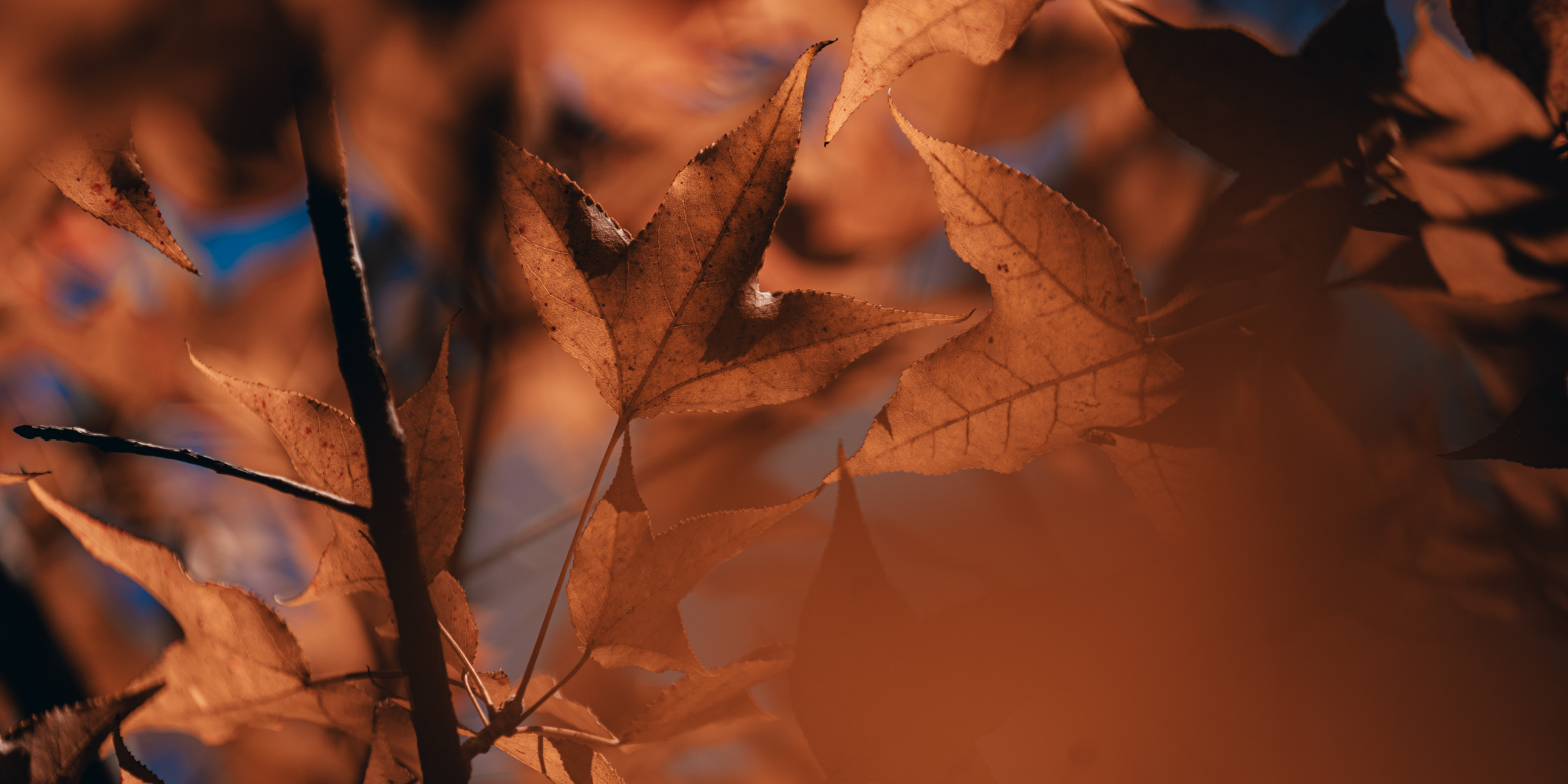 You are currently viewing Rengøring – skulle det nu være noget særligt?