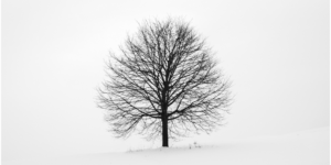 Read more about the article Havde Vor Herre mon en dårlig dag?