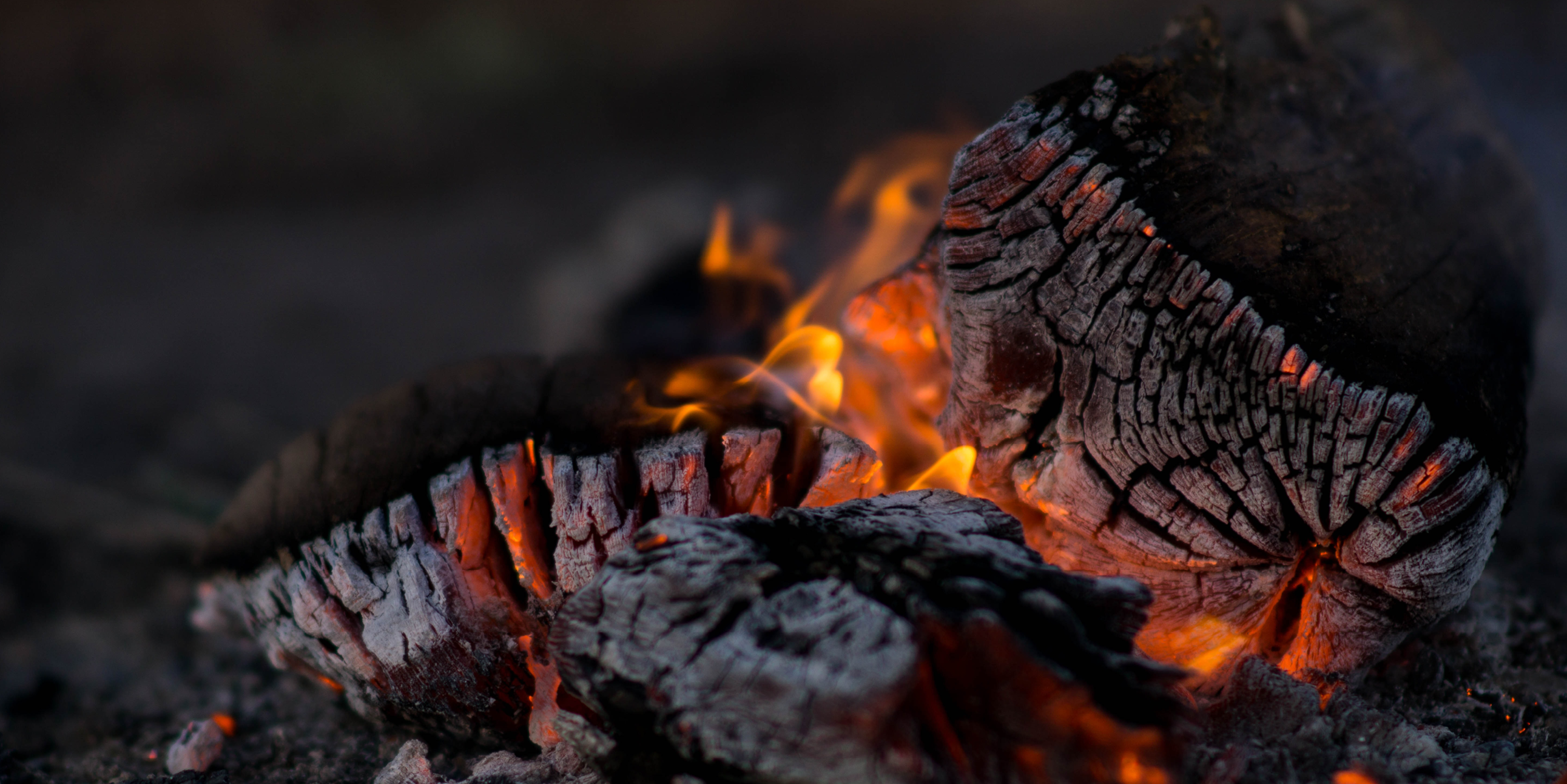 You are currently viewing Femme fatale