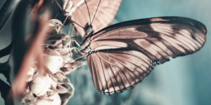 Read more about the article Slip kontrollen!