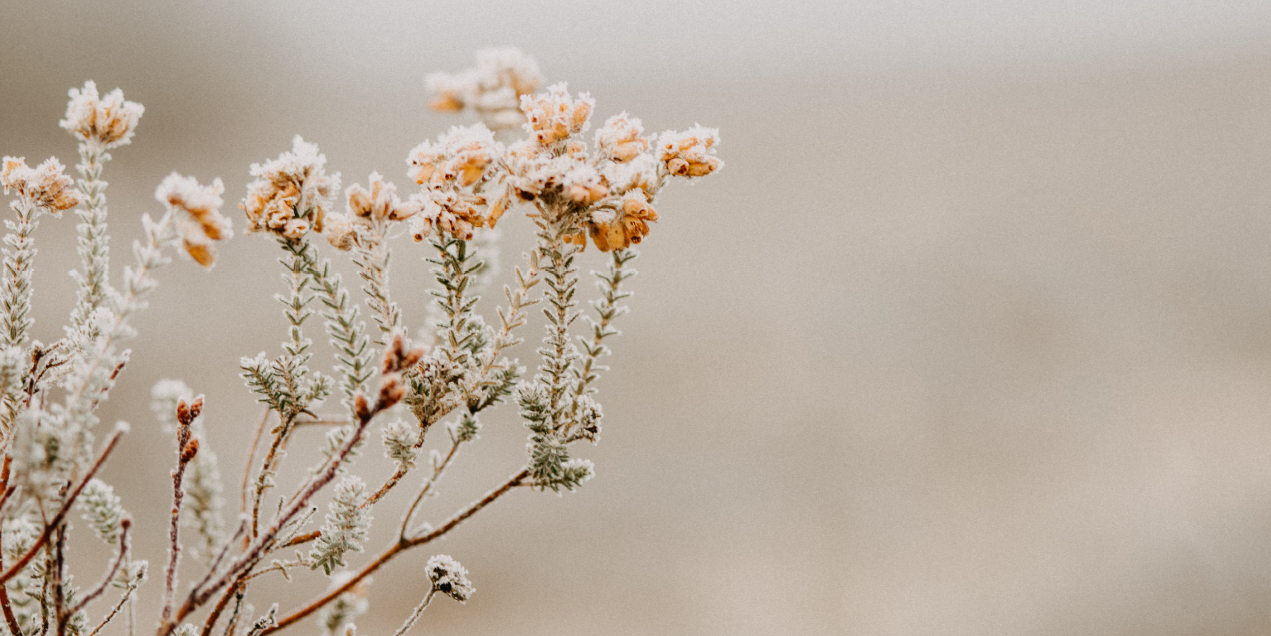 You are currently viewing Min mormor