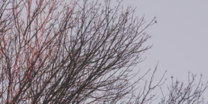 Read more about the article Hvorfor skal det være så grimt og egoistisk