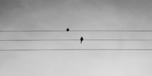 Read more about the article Hvorfor gør vi alt det forkerte?