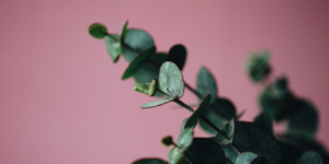 Read more about the article En lille pige