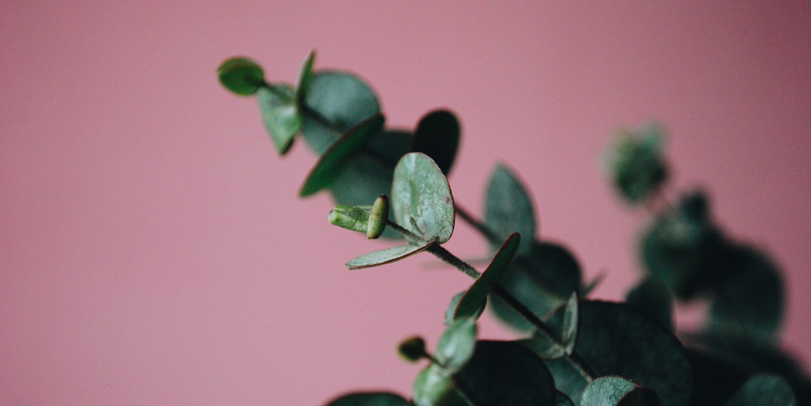 You are currently viewing En lille pige