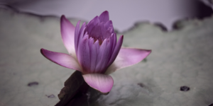 Read more about the article Hvorfor bliver fødselsdage ved med at være vigtige?