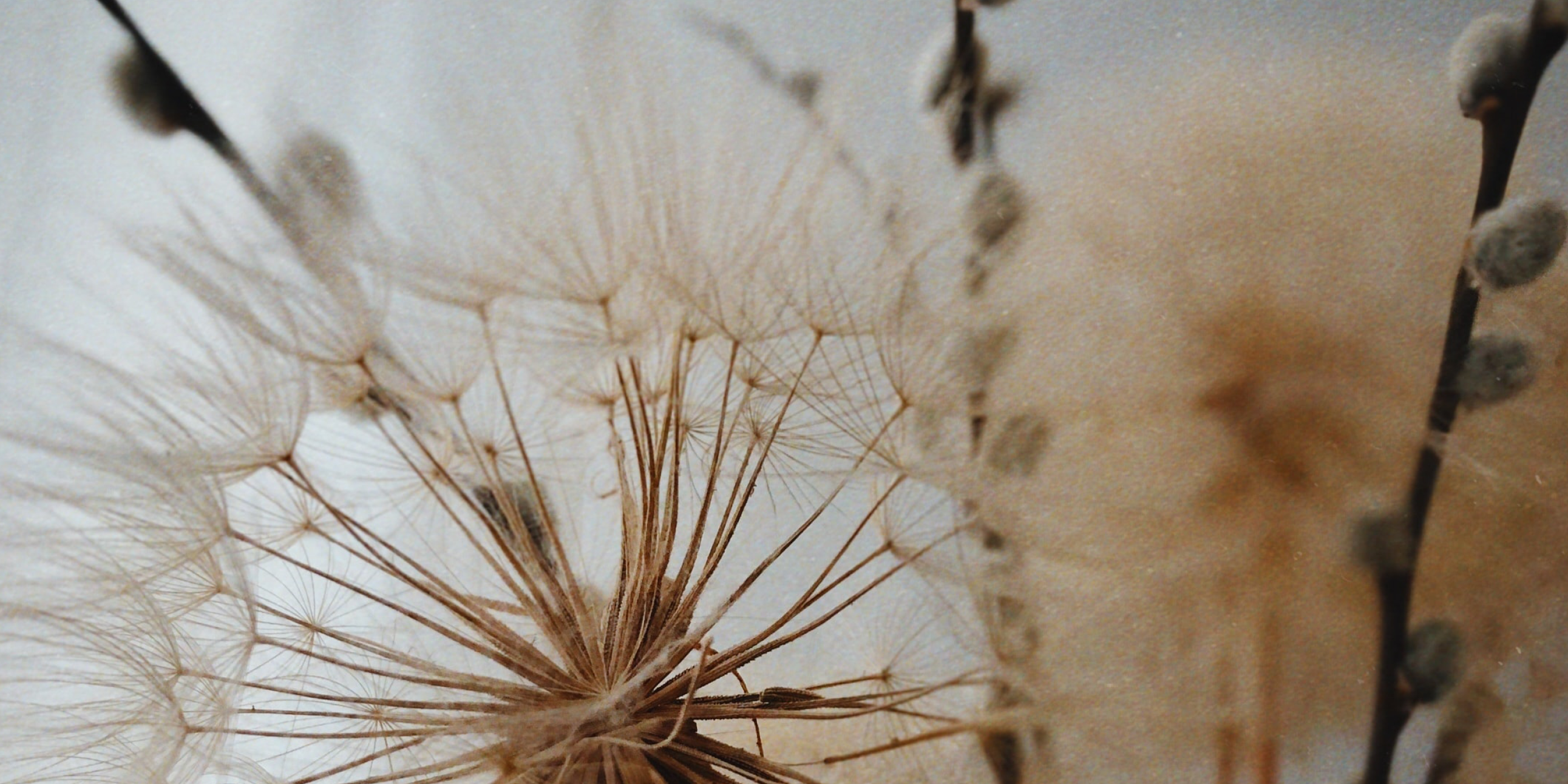 You are currently viewing Min farmor