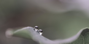 Read more about the article Oops!… I did it again