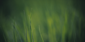 Read more about the article Hey, må jeg godt lige foreslå noget?