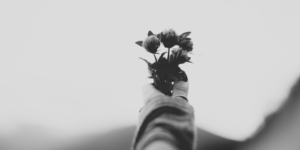 Read more about the article Ok, så lad os løse indvandrerudfordringen ”fra bunden”