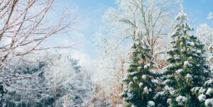 Charlotte Boysen Schmidt - Sne